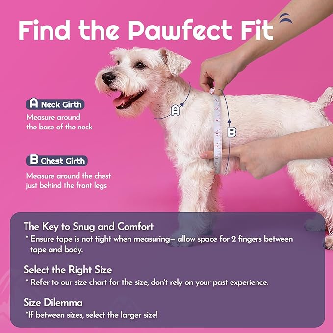 Eagloo Small Dog Harness and Leash Set, Step in Puppy Vest with Breathable Soft Mesh, Walking Reflective Pet Harness for Small Dogs, Pink, XS