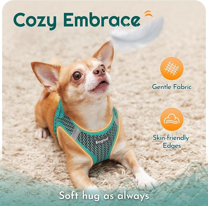 Eagloo Small Dog Harness and Leash Set, Step in Puppy Vest with Breathable Soft Mesh, Walking Reflective Pet Harness for Small Dogs, Forest Green, M