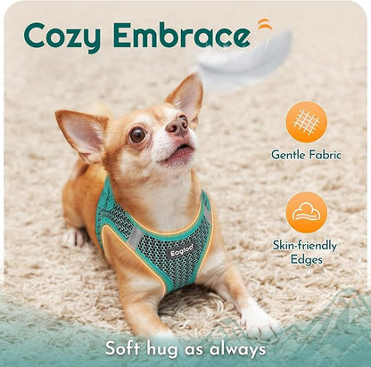 Eagloo Small Dog Harness and Leash Set, Step in Puppy Vest with Breathable Soft Mesh, Walking Reflective Pet Harness for Small Dogs, Forest Green, XS
