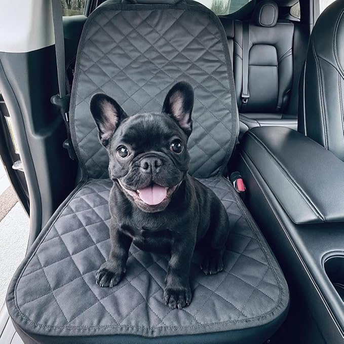 VION Tesla Model 3/Y Passenger Seat Cover/Pet Liner