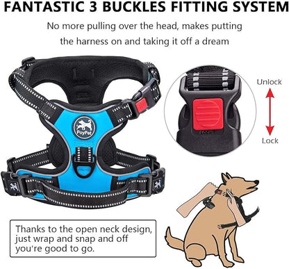 PoyPet Dog Harness and Leash Combo, Escape Proof No Pull Vest Harness, with 5 Feet Leash, Reflective Adjustable Soft Padded Pet Harness with Handle for Small to Large Dogs(Blue,S)