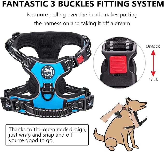 PoyPet Dog Harness and Leash Combo, Escape Proof No Pull Vest Harness, with 5 Feet Leash, Reflective Adjustable Soft Padded Pet Harness with Handle for Small to Large Dogs(Blue,L)