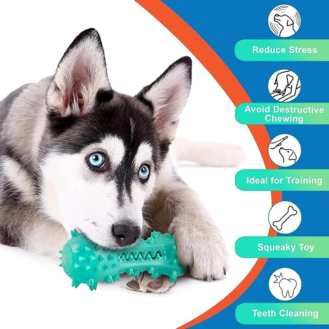 Toothbrush Dog Chew Toy, Stick Bone for Dog Teeth Cleaning, Tooth Brushing, Teething Chew Toys, Dental Oral Care for Small, Medium and Large Dogs(Blue)