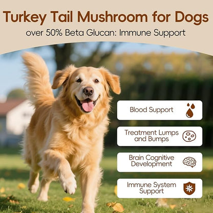 Herbal Turkey Tail Mushroom Powder for Dogs and Cats, Organic Pets Supplement for Cognitive and Immune, Blood Support for Lumps and Bumps, No Grains No Filler, 10 in 1 Mushroom Blend Powder, 60g