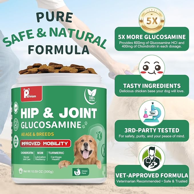 Hip and Joint Supplement for Dogs, Glucosamine Treats Chews with Chondroitin, MSM, Turmeric - Support Joint Pain Relief, Mobility, Reduce Occasional Discomfort, Fit All Ages and Breeds, 150 Soft Chew