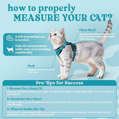 rabbitgoo Cat Harness and Leash for Walking, Escape Proof Soft Adjustable Vest Harnesses for Cats, Easy Control Breathable Reflective Strips Jacket, Teal, M