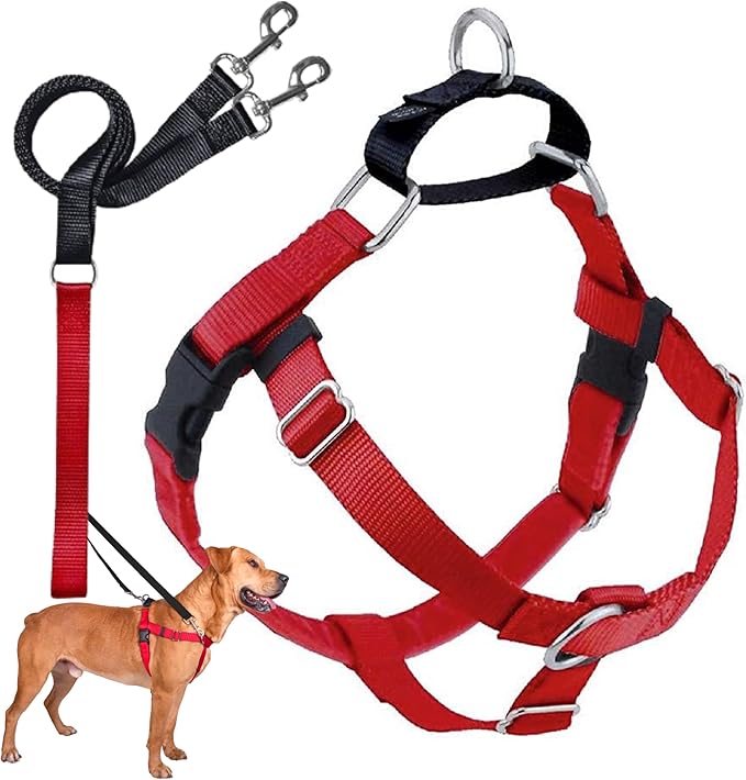 2 Hounds Design Freedom No Pull Dog Harness | Comfortable Control for Easy Walking |Adjustable Dog Harness and Leash Set | Small, Medium & Large Dogs | Made in USA | Solid Colors | 1" XXL Red