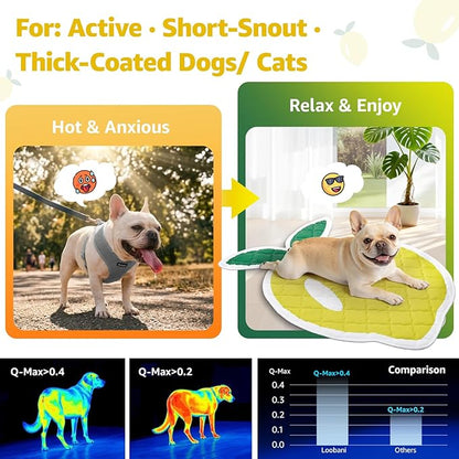 LOOBANI Dog Cooling Mat 40"x60"- Cute Lemon Design Cooling Mat for Dogs (Cool & Warm Side), Waterproof Self-Cooling Mat for Crate, Floor, Car for Medium Dogs, Cats, Pet, Yellow 40x60 in