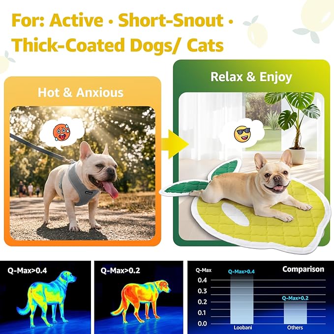 LOOBANI Dog Cooling Mat 28"x40"- Cute Lemon Design Cooling Mat for Dogs (Cool & Warm Side), Waterproof Self-Cooling Mat for Crate, Floor, Car for Small Dogs, Cats, Pet, Yellow 28"x40"