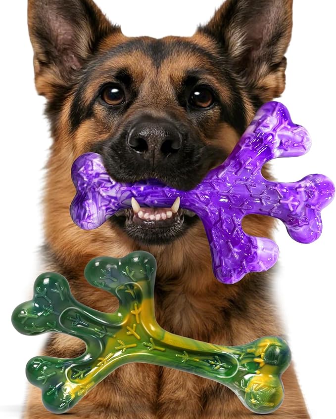 Frienhund Indestructible Tough Dog Toys for Aggressive Chewers - 2 Pack Beef and Bacon Flavored Chew Bone for Large Dogs 20-90 lbs, Long Lasting & Keep Them Busy (XL Cactus) Dark Purple & Dark Green