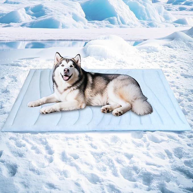 BECEMURU Dog Cooling Mat, Thickened Soft Pet Cooling Pad for Summer, 60"x40" Pet Bed for Crate Kennel Sofa, Q-MAX＞0.45, Non-Gel Coolness, Machine Washable & Durable - Keep Pet Cool and Comfortable