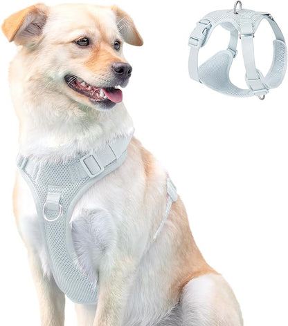No Pull Dog Harness for Small Medium Large Dogs - Adjustable 2 Layer Mesh Dog Vest with Dual Clip, Escape Proof, Quick Release, Lightweight Breathable Mesh for Walking Hiking (Light Blue,M)