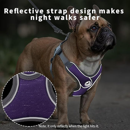Dog Harness with Leash Set, Adjustable Step in Collars Harness with Breathable Padded Vest for Large Dog Training and Running (L, Purple)