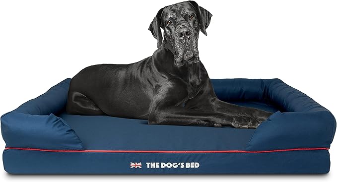 The Dog’s Bed Orthopedic Memory Foam Dog Bed with Bolsters for XXL Dogs, High Density Support Mattress, Low Front Entry, Removable Washable Cover, Oxford Fabric, Blue with Dark Red Trim, XXL