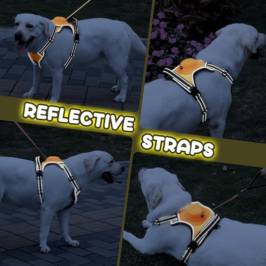 2-in-1 No Pull Dog Harness & Retractable Leash - Large Dog Harness with Auto-Lock, Reflective & Adjustable-XL