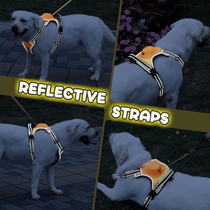 2-in-1 No Pull Dog Harness & Retractable Leash - Large Dog Harness with Auto-Lock, Reflective & Adjustable-L