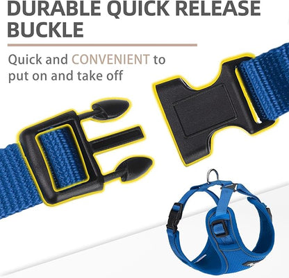 PUPTECK Small Dog Harness and Leash Set, No Pull Adjustable Puppy Cat Harness, Reflective Soft Mesh Pet Vest Small Sized, Blue, XS