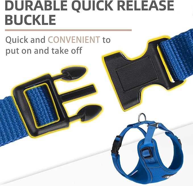 PUPTECK Small Dog Harness and Leash Set, No Pull Adjustable Puppy Cat Harness, Reflective Soft Mesh Pet Vest Small Sized, Blue, S