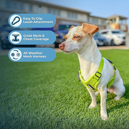 Best Pet Supplies Voyager Step-in Air All Weather Mesh Harness and Reflective Dog 5ft Leash Combo with Neoprene Handle, for Small, Medium and Large Breed Puppies - Set (Lime Green), X-Large