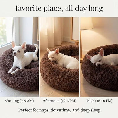 Calming Donut Dogs Beds for Small Dogs Washable,19inch Fluffy Round Puppy Bed for Puppies,Cats & Toy Breeds with Raised Rim,Fits up to 15 lbs Pets,Chocolate Brown