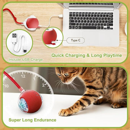 2 Pack Interactive Cat Toy Balls for Indoor, Interactive Puppy Toys Ball with Tail, Automatic Activate Cat Toys with 360° Fast Smart Movement, USB Rechargeability and Durable Enrichment Toy