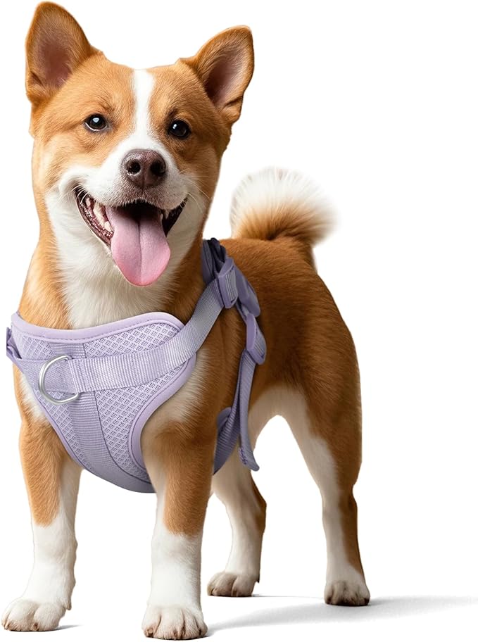 Wisedog Dog Harness Medium Sized, Pet Vest with Front Clip, Adjustable Puppy Harness with 3 Fast Release Buckles[Easy to Put on & Take Off] (Lilac, XS)