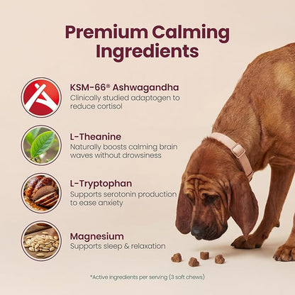 Calming Chews for Dogs – KSM-66 Ashwagandha, L-Theanine & Melatonin – Supports Relaxation & Calm Behavior – Great for Storms, Fireworks, Travel & Vet Visits – Turkey & Beef Flavor