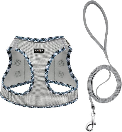 AMTOR Small Dog Harness with Leash Set, No Escape Easy Walk Puppy Harnesses for Training Walking, Step-in Reflective Soft Dogs Vest for XS S Medium Extra-Small Large Sized Dog(XXS,Grey)