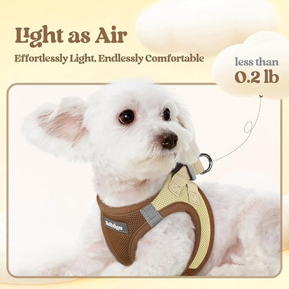 rabbitgoo Dog Harness Small Sized and Leash Set, Step in Soft Light Puppy Vest, Breathable Mesh Pet Harness, Reflective for Safe Easy Walking, Brown & Beige XXS