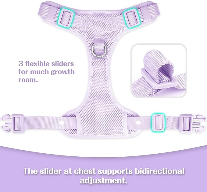 No Pull Dog Harness for Small Medium Large Dogs - Adjustable 2 Layer Mesh Dog Vest with Dual Clip, Escape Proof, Quick Release, Lightweight Breathable Mesh for Walking Hiking (Light Purple,S)