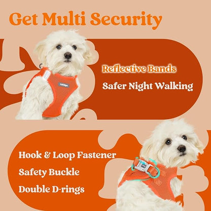 rabbitgoo Small Dog Harness, Step-in Soft Mesh Puppy Vest with Safety Buckle, Breathable Reflective Pet Harness for Small Sized Dogs, Orange XS