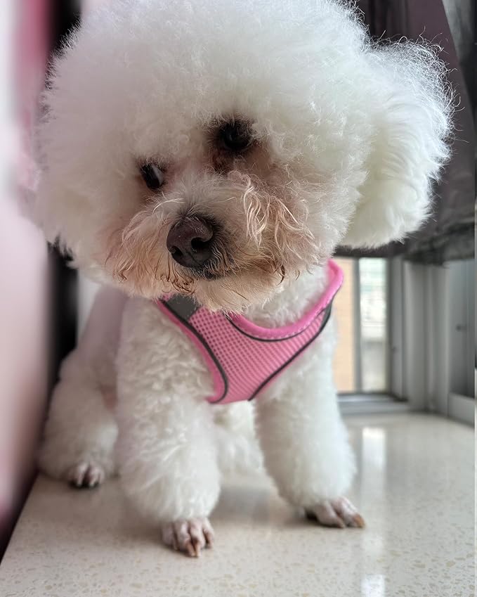 Solmoony Dog Harness for Small Medium Large Dogs No Pull, Puppy Harness and Leash Set, Puppy Harness, Step in Harness for Small Dogs, mesh Dog Harness. (Pink, XXS)