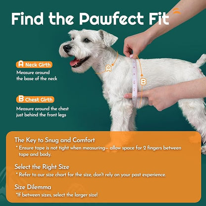Eagloo Small Dog Harness and Leash Set, Step in Puppy Vest with Breathable Soft Mesh, Walking Reflective Pet Harness for Small Dogs, Forest Green, XXS