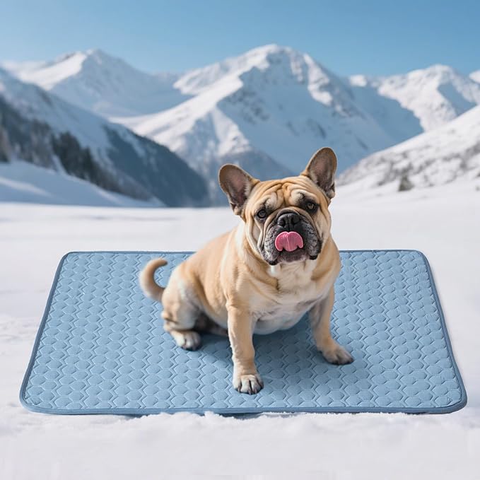 Soulbond Cooling Mat for Medium Dogs - 29"x40" Washable Cooling Pad for Cats, QMAX>0.3, Anti-Slip Bottom, Portable Summer Cool Pet Bed Pad for Outdoor/Indoor/Cars/Travel Use, Ocean Blue