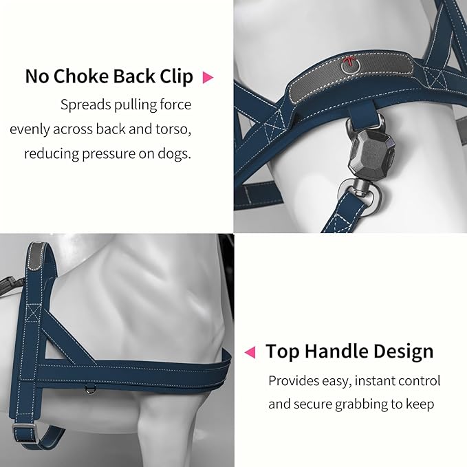 Magnetic Dog Harness and Leash Set with Quick Release Buckle, Easy On & Off Faux Leather Puppy Harness and Leash with Handle for Medium, Large Sized Dog