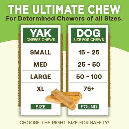 EcoKind Yak Cheese Himalayan Dog Chews, Yak Chews for Medium Dogs, Long Lasting Bone for Aggressive Chewers, 3 Ingredients, Natural High Protein Treats, No Additives, Lactose Free, Medium - 12 Chews