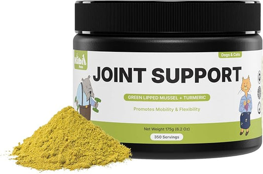 Joint Support with Green Lipped Mussel & Turmeric – Hip & Joint Supplement for Dogs & Cats, 175g (350 Servings) Kubi Pets