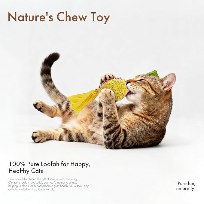 Mira's Pocket Natural Loofah Cat Toy with Feathers, Elastic Bouncing Chew Toy with Catnip & Bell, Self-Play Enrichment Toy for Indoor Cats to Relieve Boredom (Color Mixing)