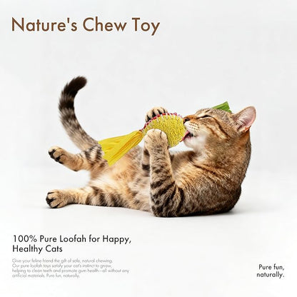 Mira's Pocket Natural Loofah Cat Toy with Feathers, Elastic Bouncing Chew Toy with Catnip & Bell, Self-Play Enrichment Toy for Indoor Cats to Relieve Boredom (Color Mixing)