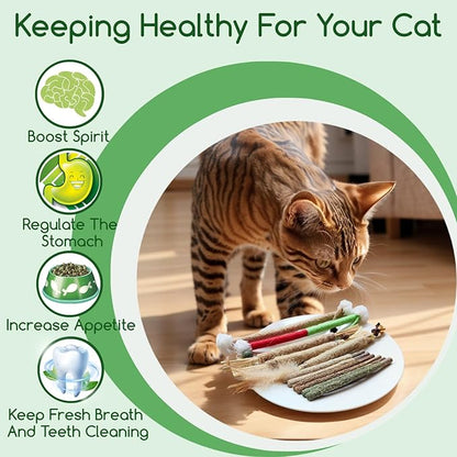 Silvervine Sticks Catnip Rope Toys Set for Cats Teeth Cleaning,Cat Chew Toys,Kitten Dental Care Toys for Indoor Cats to Promote Oral & Dental Health