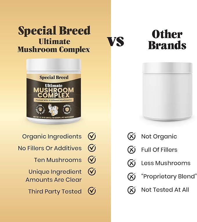 Mushroom Powder for Dogs & Cats - Organic Mushroom Complex for Immunity Support, Immune, Cognition, Vitality - Ten Mushroom Supplement with Turkey Tail, Lion's Mane, Reishi - 360 Gram (Pack of 2)