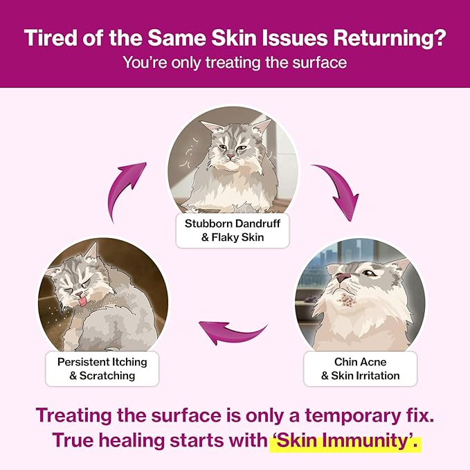 Doctor By Cat Silk Derma Skin and Coat Supplement for Cats Itch Skin Relief, Dandruff Treatment Scab, Overgrooming, Allergy Relief for Cats 30 lickable Formula Individually Packaged, Chicken(1 Pack)