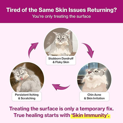 Doctor By Cat Silk Derma Skin and Coat Supplement for Cats Itch Skin Relief, Dandruff Treatment Scab, Overgrooming, Allergy Relief for Cats 30 lickable Formula Individually Packaged, Chicken(1 Pack)
