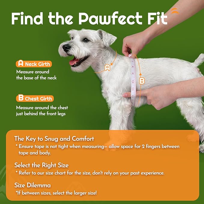 Eagloo Small Dog Harness and Leash Set, Step in Puppy Vest with Breathable Soft Mesh, Walking Reflective Pet Harness for Medium Small Dogs, Green, L