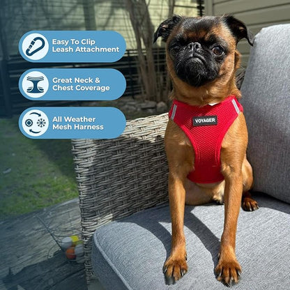 Best Pet Supplies Voyager Step-in Air All Weather Mesh Harness and Reflective Dog 5ft Leash Combo with Neoprene Handle, for Small, Medium and Large Breed Puppies - Set (Red), X-Small