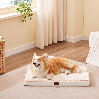 ZOMISIA Orthopedic Dog Crate Bed for Large Sized Dog - Waterproof Puppy Bed for 36 Inch Kennel with Removable Washable Corduroy Cover, Support with Egg Crate Foam Filling, Grey