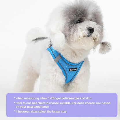 Solmoony Sparkly XS Dog Harness and Leash Set, Step in Soft Light Puppy Vest, Breathable Reflective Pet Harness for Walking, Puppy Harness for Small Dogs Cats (Blue, XS)