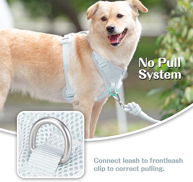 No Pull Dog Harness for Small Medium Large Dogs - Adjustable 2 Layer Mesh Dog Vest with Dual Clip, Escape Proof, Quick Release, Lightweight Breathable Mesh for Walking Hiking (Light Blue,XS)