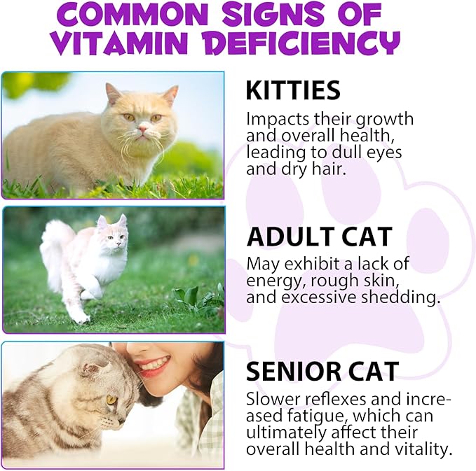 Cat Multivitamin Drops - 15 in 1 Vitamin Supplement for Immune Support, Heart, Bones, Joint, Skin & Coat Health, Bacon Flavor Vitamins for Senior Cats & Kittens (2 Pack, for cat)