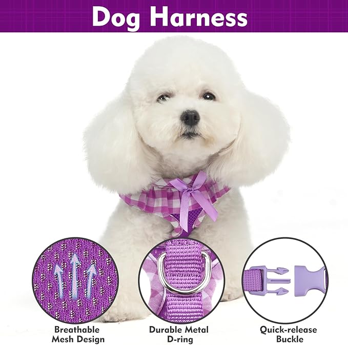 EXPAWLORER Cute Dog Harness and Leash Set - Purple Girl Dog Harness Checkered Step-in Design, Easy Adjustable No-Choke Lightweight Breathable Vest for Puppy Small Dogs Cats Outdoor Walking, Small
